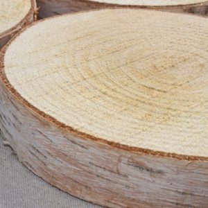 木の年輪板 白樺 樹皮つき Ｌサイズ（26-30ｃｍ）