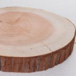 木の年輪板 杉 樹皮つき Mサイズ（21-25ｃｍ）